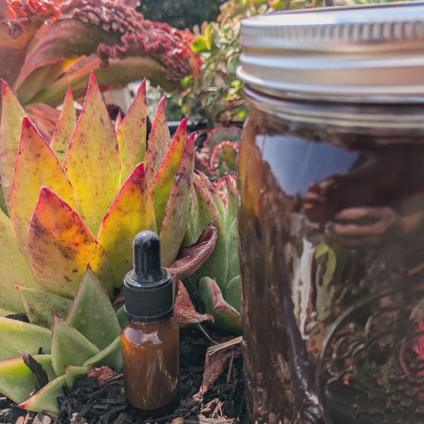 Bobinsana Honey 10mL